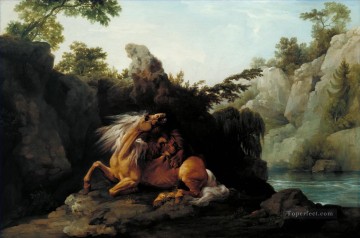 George Stubbs Horse Devoured by a Lion Oil Paintings
